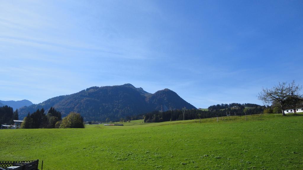 Haus Horngacher Apartment *